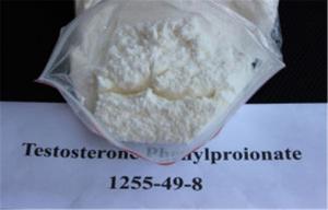 Testosterone propionate sheep