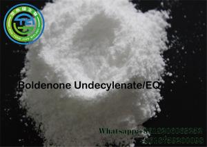 Wholesale equipoise for strength Boldenone Steroid pure benzocaine powder EQ 13103349 from china suppliers