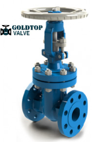Wholesale Petrochemical Cryogenic API 600 Gate Valve With Flexible Wedge from china suppliers
