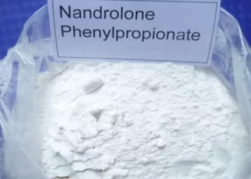 Wholesale Builds Lean Muscle Nandrolone Decanoate Steroid Anabolic Cas No 62-90-8 from china suppliers