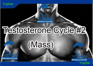 Masteron cycle with sustanon