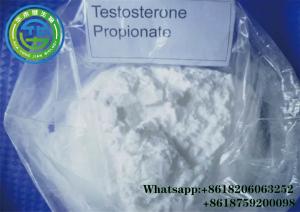 Wholesale CasNO.57-85-2 Testosterone Propionate top male enhancement Test Prop Testosterone Powder 99% For Muscle from china suppliers