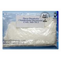 Nandrolone decanoate and testosterone enanthate cycle