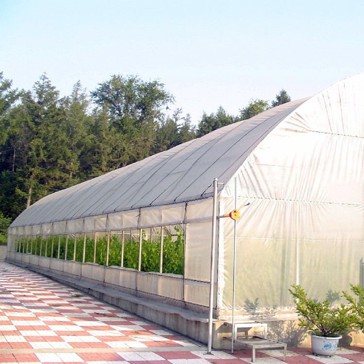 Wholesale High Strength Agricultural Poly Tunnel Tomato Greenhouse 5*15m 17*50ft from china suppliers