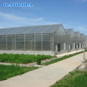 Wholesale Commercial Polycarbonate Sheet Greenhouse / PC Sheet Greenhouse Customized Material from china suppliers