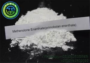 Wholesale Raw methenolone enanthate powder stack usp Primobolan Postmenopausal Steroid Casnummer 303-42-4 from china suppliers