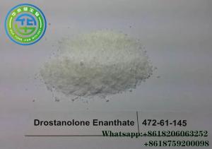 Wholesale Methyl Drostanolone Bodybuilding Masteron E Muscle Gain Powder 472-61-145 Cas from china suppliers