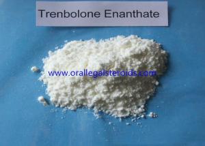 Wholesale Athletes Muscle Building Tren Steroid Injectable , 10161 34 9 Tren Bodybuilding Supplement  from china suppliers