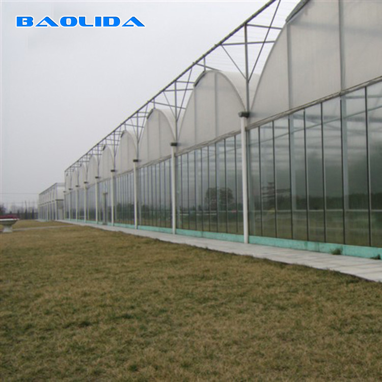 Wholesale Prefabricated Tunnel Plastic Film Multispan Greenhouse Plastic Film Greenhouse from china suppliers