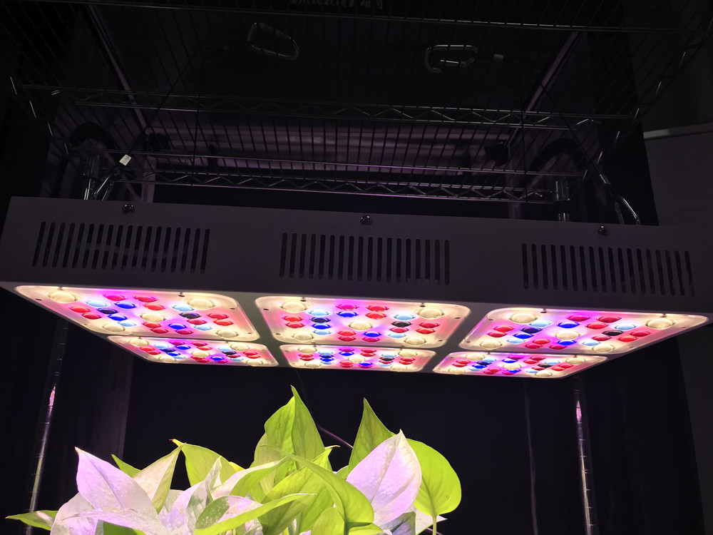 Buy cheap 570W Full Spectrum LED Grow Lights CREE COB from wholesalers