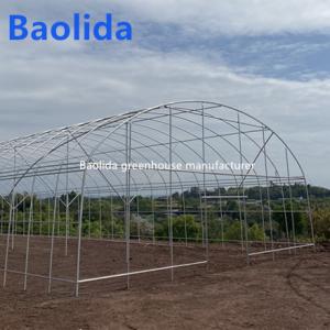 Wholesale Singlespan Growing Farming Polyethylene Film Greenhouse For Vegetables from china suppliers