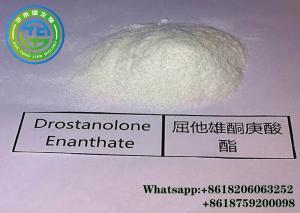 Wholesale 472-61-145 Drostanolone Enanthate Cutting Hormone Source Masteron E Cycle from china suppliers