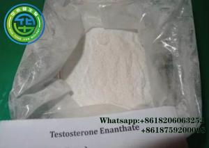 Wholesale Test Enanthate Bulking Cycle Injectable Anabolic Steroids Muscle Building 315-37-7 from china suppliers