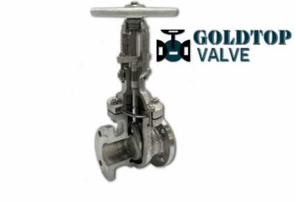 Wholesale Petrochemical Cryogenic API 600 Gate Valve With Flexible Wedge from china suppliers