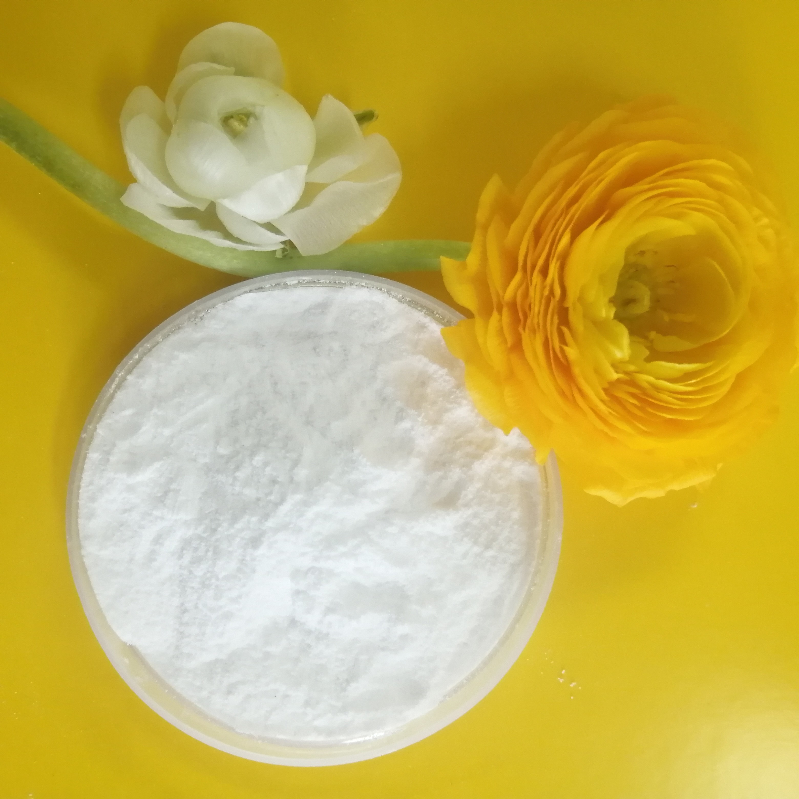 Wholesale Anhydrous 98% Min MSP Monosodium Phosphate CAS 7558 80 7 For Cake Preservative from china suppliers