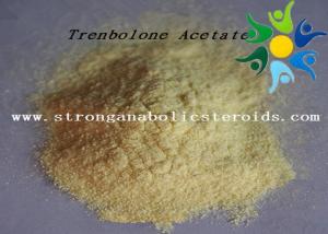 Trenbolone drug profile