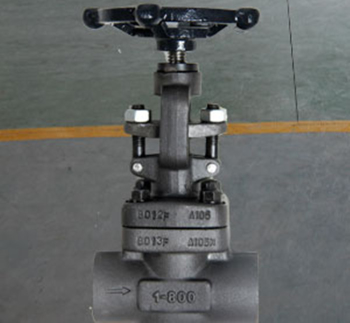 Wholesale Globe Bolted Bonnet Forged Steel Valve , Rising Stem Reduced Bore Valve F304 F316 A105 from china suppliers