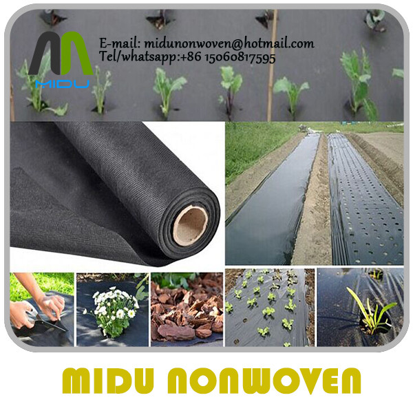 Wholesale BSCI non woven plant cover agriculture pp nonwoven fabric white from china suppliers