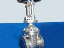 PN16/PN25 110 mm Stainless steel manual slide flange gate valve