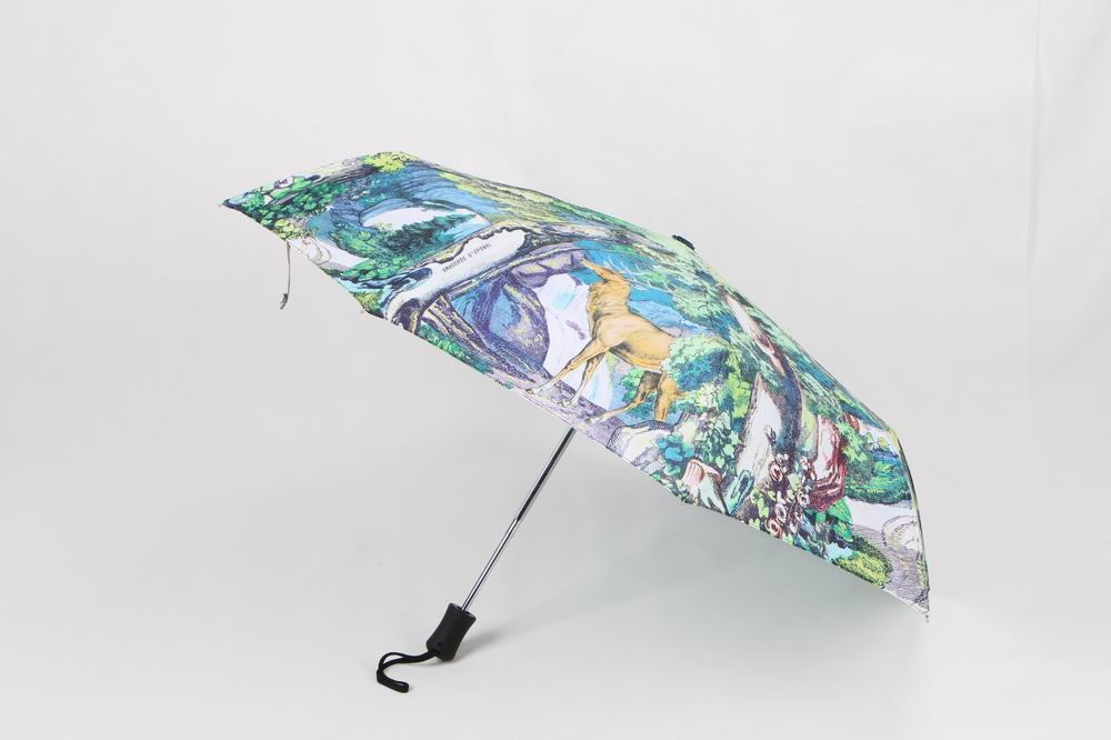 Wholesale 8 Panels Automatic Open Close Windproof Umbrella , Portable Button Open Umbrella from china suppliers