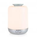 Professional Battery Powered Nebulizing Essential Oil Diffuser for sale