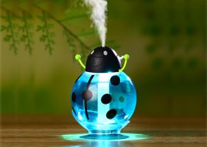 Wholesale LED Beetle humidifier ultrasonic mini usb cool mist air humidifier from china suppliers