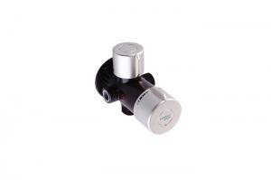 Wholesale Brown Body Thermostatic Water Mixing Valve , 35 Double Switch Thermo Shower Valve from china suppliers