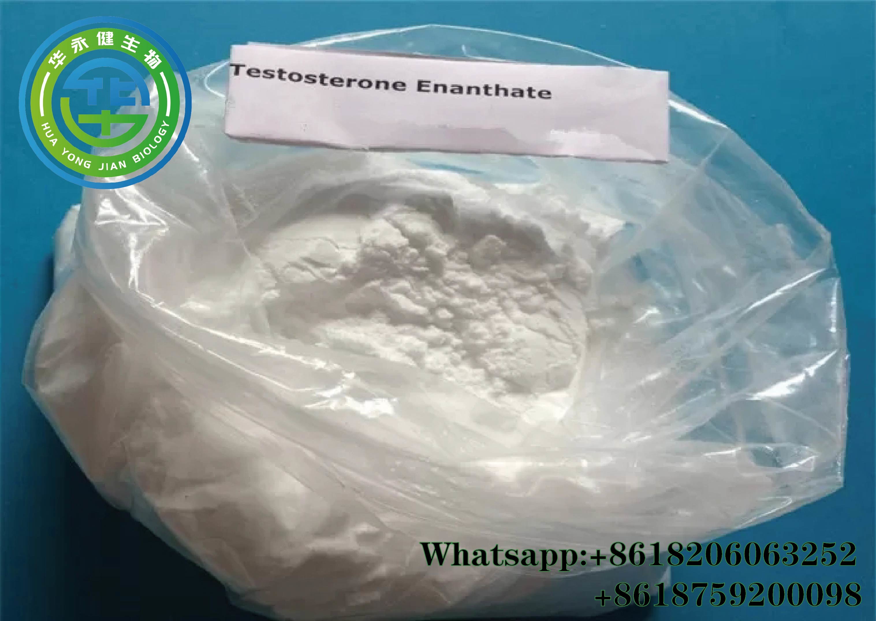 Wholesale 315-37-7 Testosterone Steroid Pharma Testosterone Enanthate For Bodybuilding Muscle Growth from china suppliers