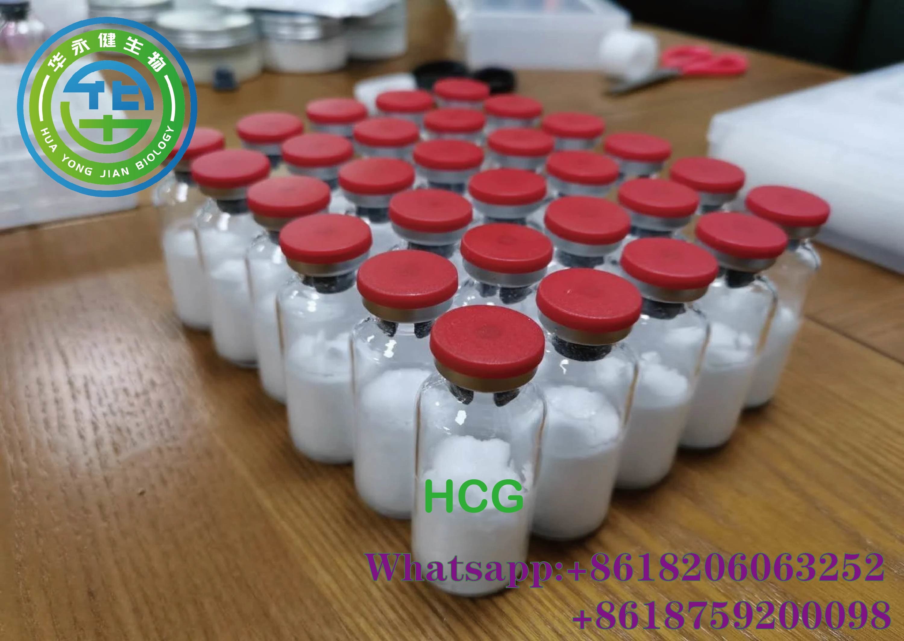 Wholesale chorionic gonadotropin Human Growth Hormone Peptide 5000 iu hcg injection Cas NR 9002-61-3 from china suppliers