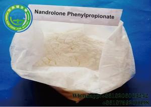 Wholesale Muscle Growth Nandrolone Steroid NPP Hormone Cas Number 62-90-8 from china suppliers