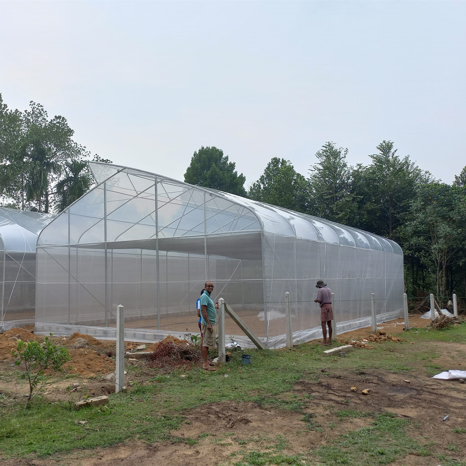Wholesale UV Film Agriculture Top Vent Tunnel Plastic Greenhouse Single Span Customized from china suppliers