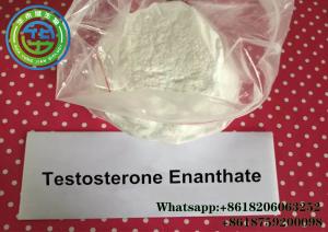 Wholesale Test E Injectable Bodybuilding Test Enanthate Anabolic Steroids Testosterone Enanthate for weight loss CAS 315-37-7 from china suppliers