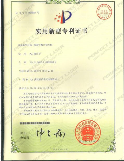 Perfect Laser (Wuhan) Co.,Ltd. Certifications