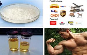 Best steroid cycle for mass and cutting