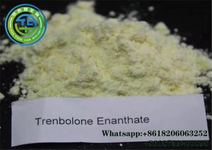 Wholesale 99% Purity Trenbolone Enanthate Steroidy Supplements Parabolan Cas No 472-61-5 from china suppliers
