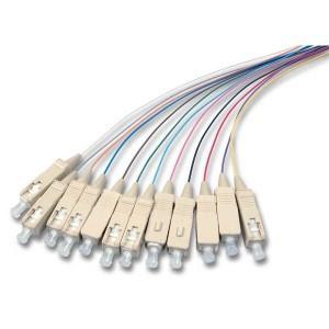 Wholesale 12 Color Fiber Optic Pigtail 2 - 48 Cores Single / Multi Mode Various Connector Types from china suppliers