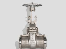 Stainless Steel 316 10 inch Flanged RF Gate Valve