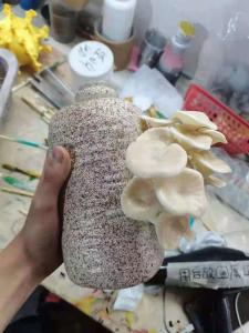 Wholesale Resin ABS Custom 3D Printing Service For Home Decoration Art Plant Model from china suppliers
