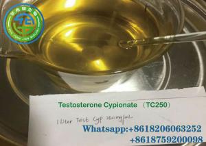 Wholesale bio-tc250 testosterone cypionate powder legal TC250 250 mg/ml Injection CAS 58-20-8 from china suppliers