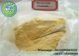 Wholesale Pharmaceutical Trenbolone Acetate Steroid Tren A Steroid Raws 10161-34-9 from china suppliers