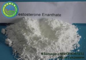 Wholesale Anabolic Steroid powder Test Enanthate/Test E For Fast Muscle Growth from china suppliers