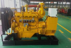 Wholesale Cummins Durable Natural Gas Portable Generator Stamford Alternator With CHP System from china suppliers