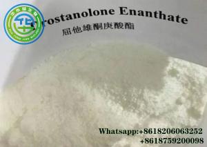 Wholesale Pharmaceutical Drostanolone Steroid Drostanolone Enanthate Cycle Cas NO 472-61-145 from china suppliers