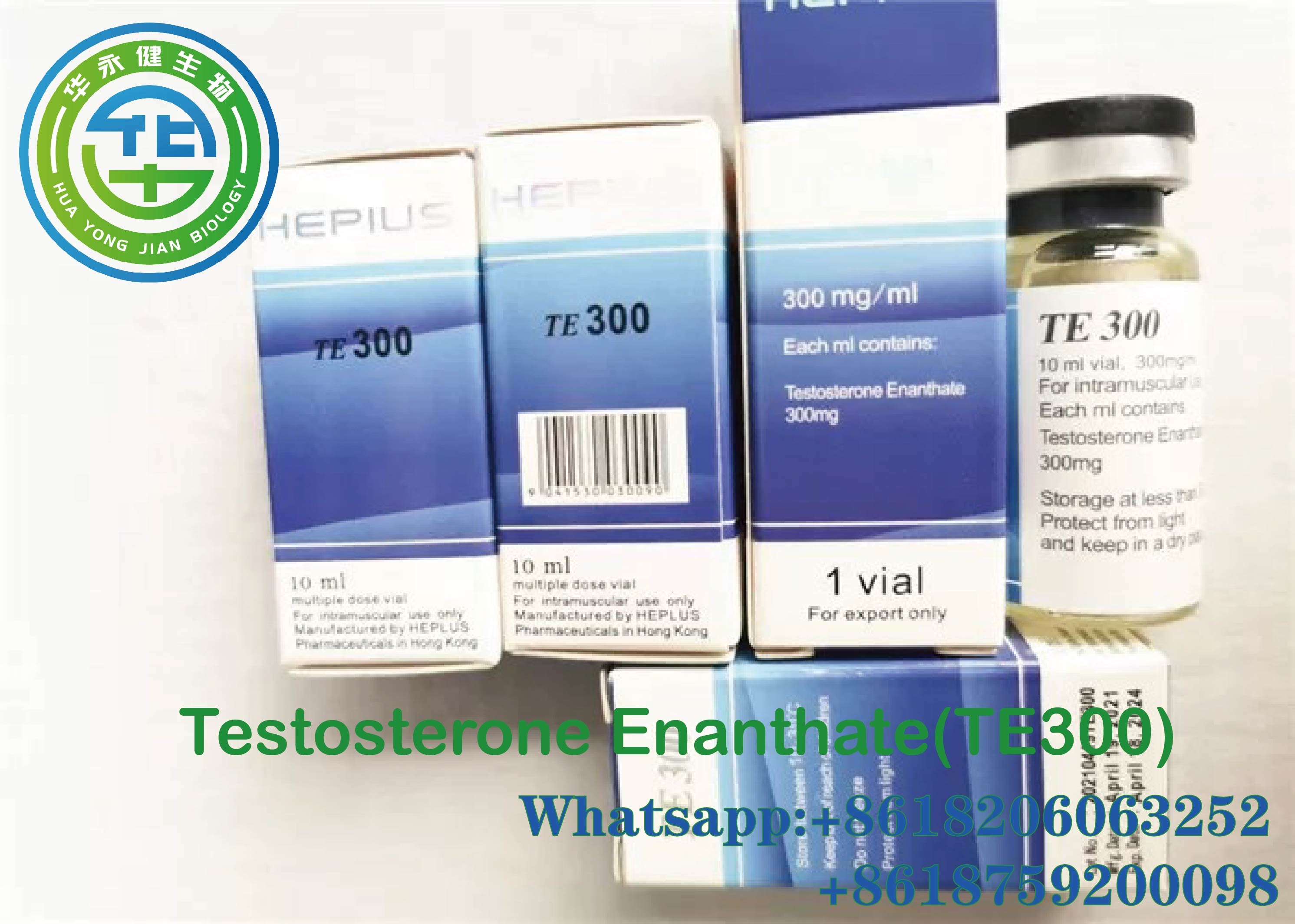Wholesale Te 300 Testosterone Enanthate Injection For Gamefowl Usp 300mg/Ml Cas Nr 315-37-7 from china suppliers