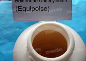 Equipoise on horses