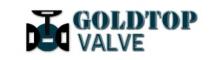 China Wenzhou Goldtop Valve Co.LTD logo