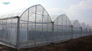 Wholesale Prefabricated Tunnel Plastic Film Multispan Greenhouse Plastic Film Greenhouse from china suppliers