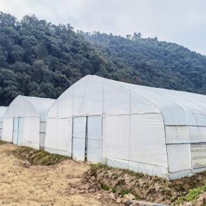 Wholesale Hot Galvanized Steel Frame Tropical Fruit Grow Greenhouse Commercial Greenhouses For Sale from china suppliers