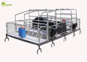 Automatic Pig Farrowing Crate , Pig Farrowing Pen Modern System
