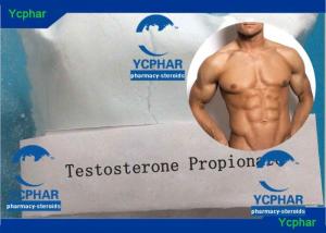 Testosterone prop winstrol cycle